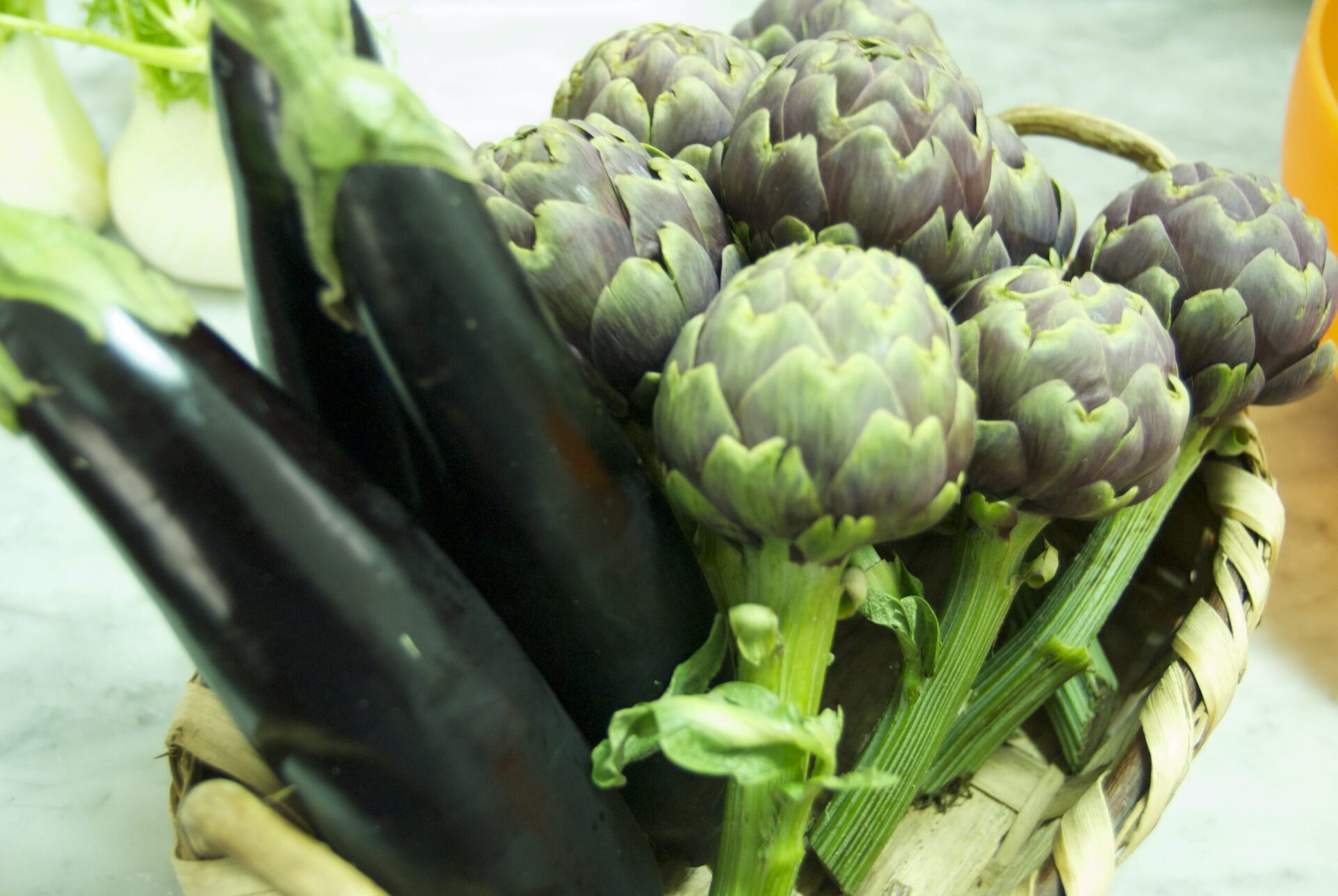 Finding good nutrition education